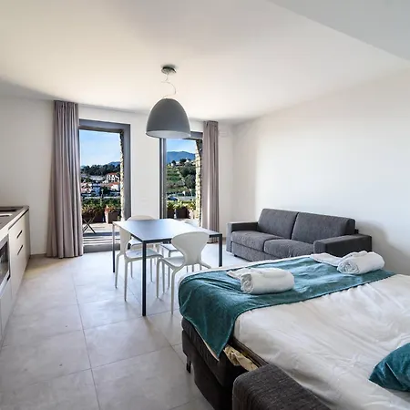 Agave * San Remo