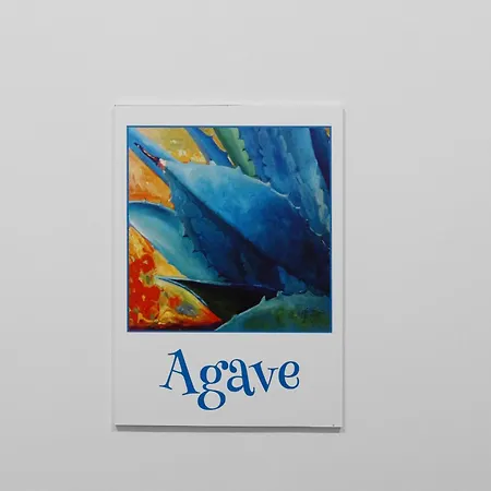 Agave *